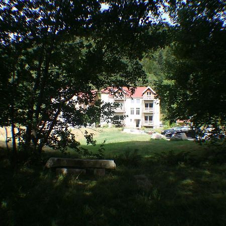 Residence Du Chateau Lublin La Bresse Eksteriør billede